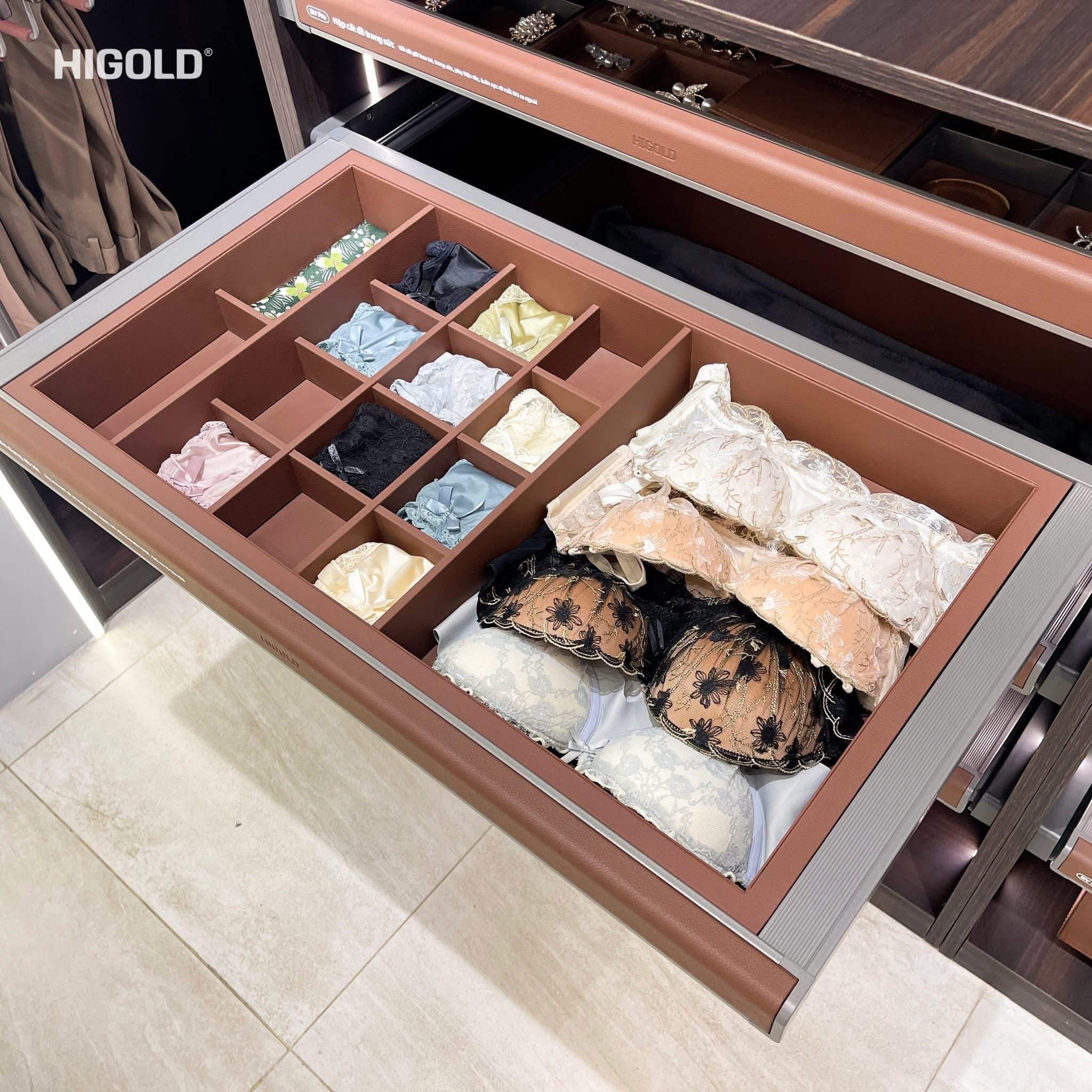 Hình ảnh thực tế sản phẩm : Ngăn kéo đựng đồ nội y Higold Series BV 2.0