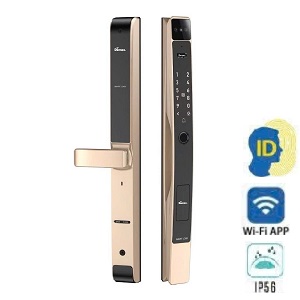 Khóa điện tử, vân tay thông minh DEMAX EL-C905 CG Face ID-3D