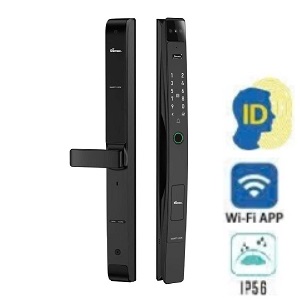 Khóa điện tử, vân tay thông minh DEMAX EL-C905 SB Face ID-3D