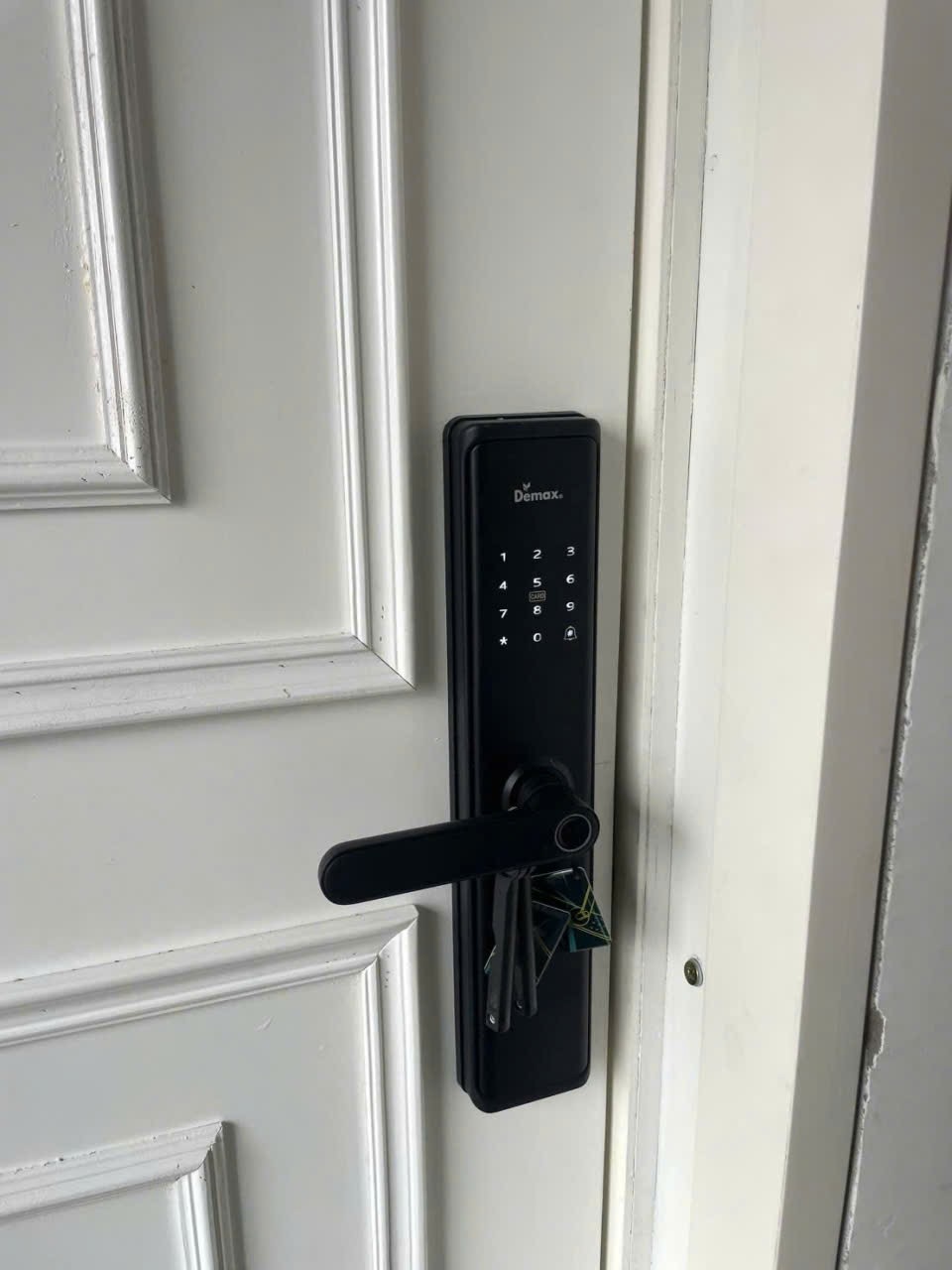 Khóa điện tử, vân tay thông minh DEMAX EL-C88 BL